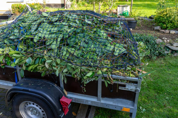 Junk Removal for Events in Hilo, HI